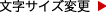 文字サイズ変更